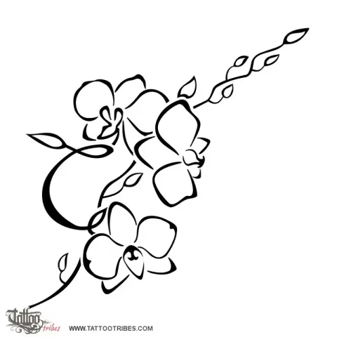 Orchids