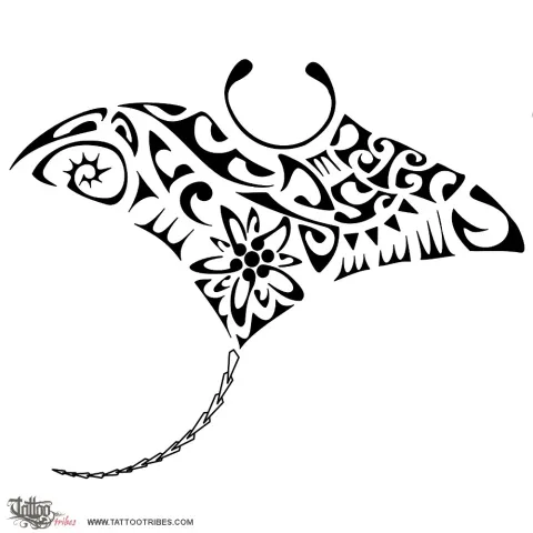 Edelweiss manta