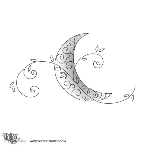 Delicate moon
