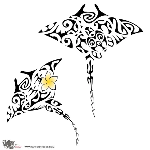 Mantas pair