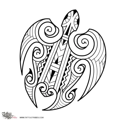 Maori turtle