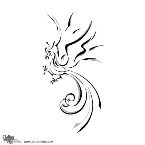 S+D+D phoenix