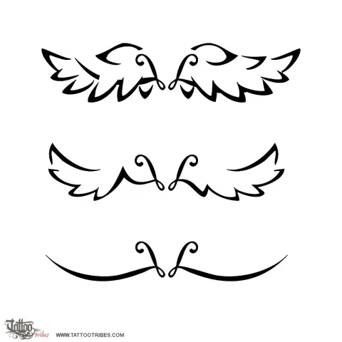 V+L wings
