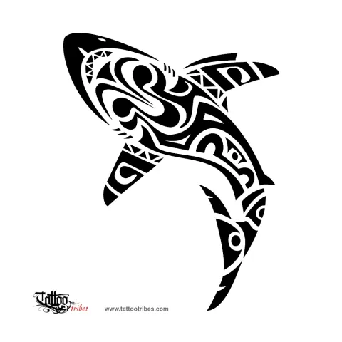 Melanesian shark