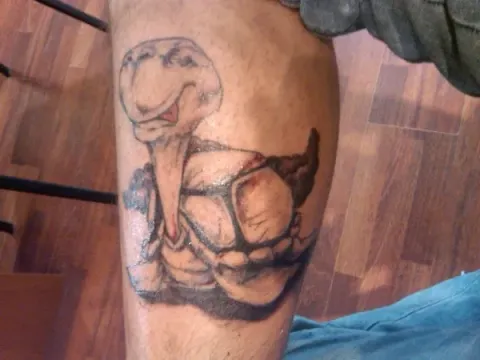 Alessandro - Turtle