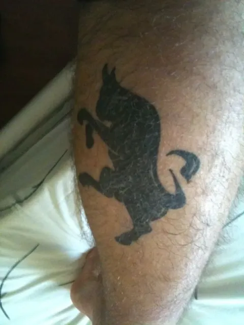 Alessandro - Bull