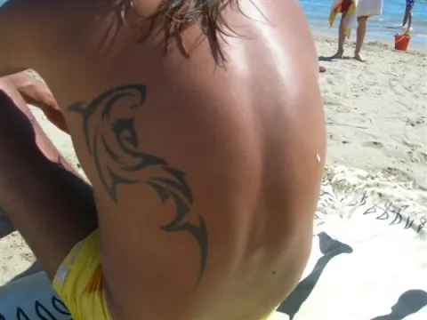Alfonso - shark