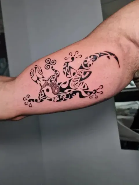 Andrea - gecko