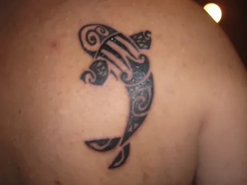 Bartek - Maori koi