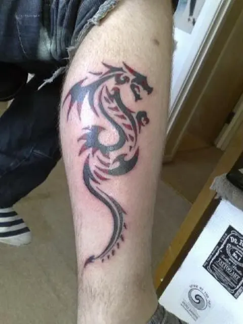 Cory - Dragon