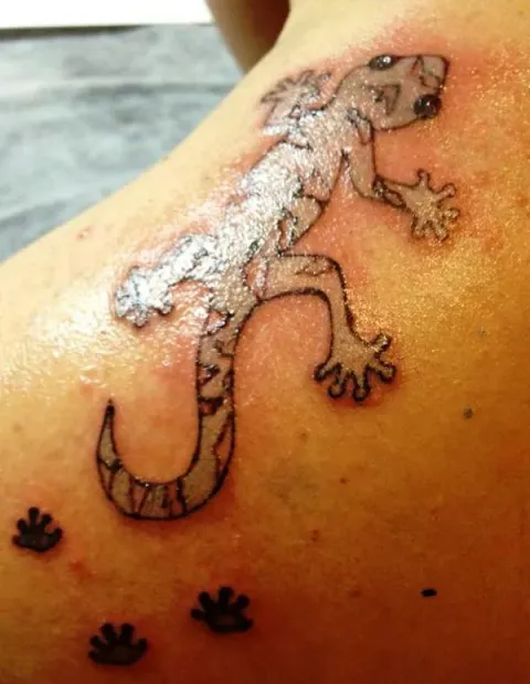 Domenica - Silver gecko