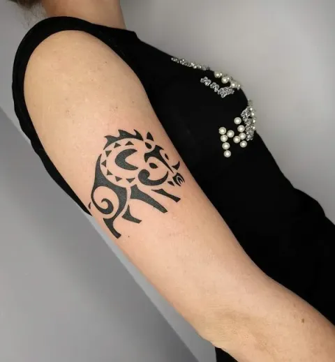 Elisa - G+C boar