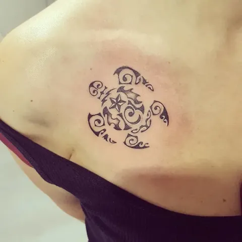 Guest - Turtle