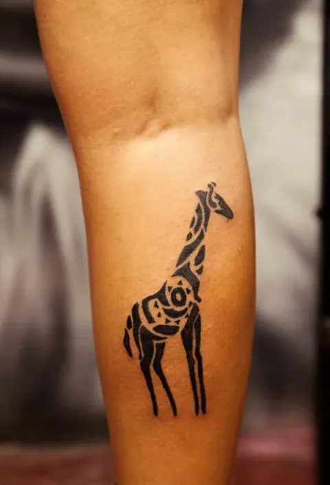 Guest - Giraffe