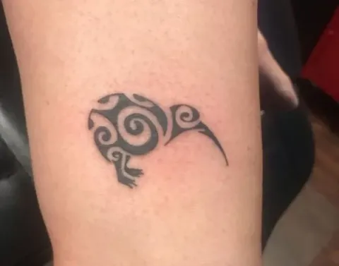 Guest - kiwi bird