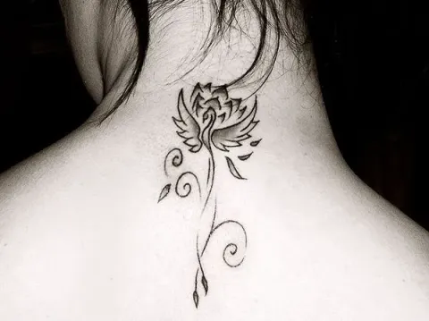 Izzy - Phoenix lotus
