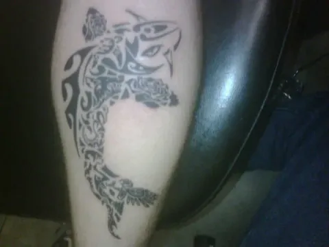 Jonathan - Composite koi