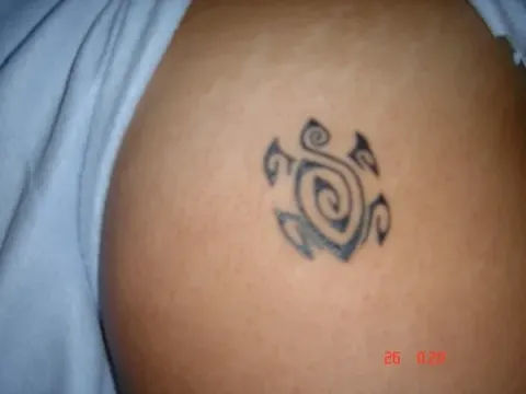 Laura - Polynesian turtle