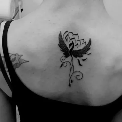 Lilly - phoenix & lotus