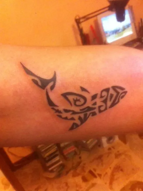 Lorenzo - Shark
