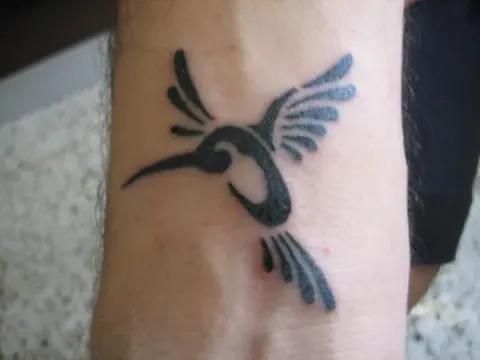 Luca - Humming bird