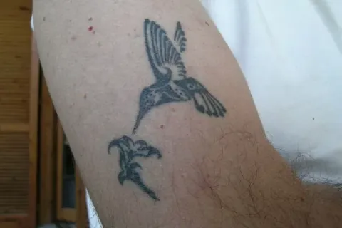 Paolo - Humming bird