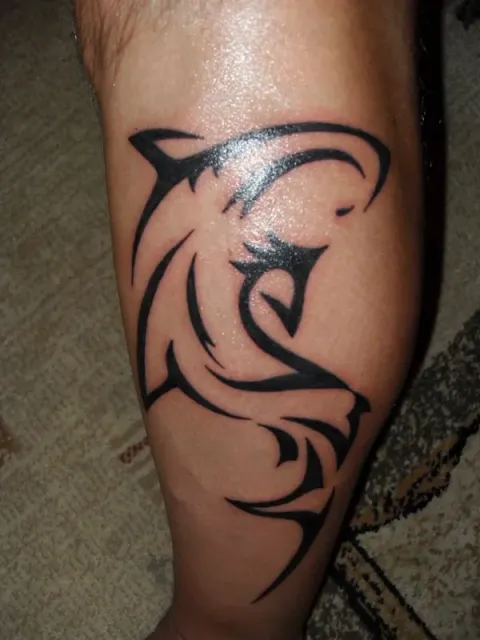 Piotr - Shark