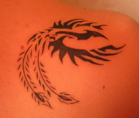 Stefano - Phoenix