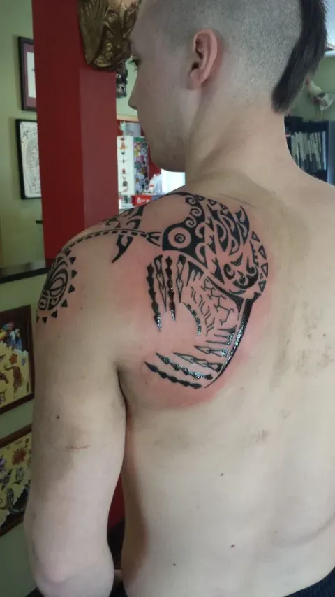 Steven - Angler fish