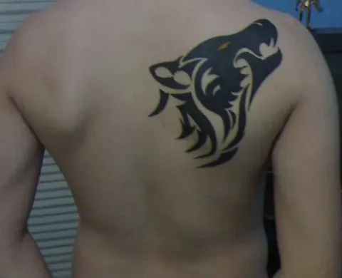 Jorge - Tribal wolf